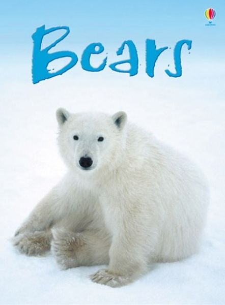 Cover for Emma Helbrough · Bears - Beginners (Hardcover Book) [New edition] (2007)