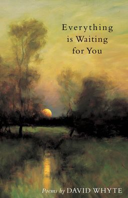 Cover for David Whyte · Everything Is Waiting for You (Pocketbok) (2003)