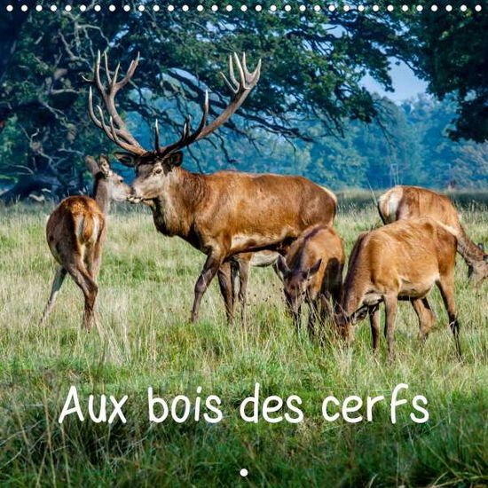 Cover for Angot · Aux bois des cerfs (Calendrier mu (Book)