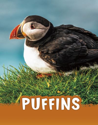 Cover for Jaclyn Jaycox · Puffins - Animals (Hardcover Book) (2021)