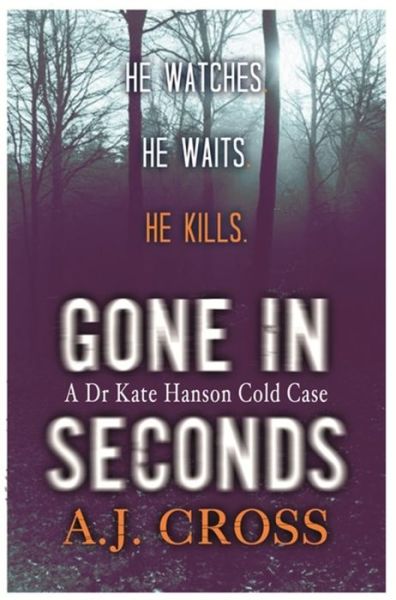 Cover for A.J. Cross · Gone in Seconds (Taschenbuch) (2013)