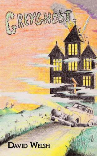 Cover for David Welsh · Greyghost (Paperback Book) (2009)