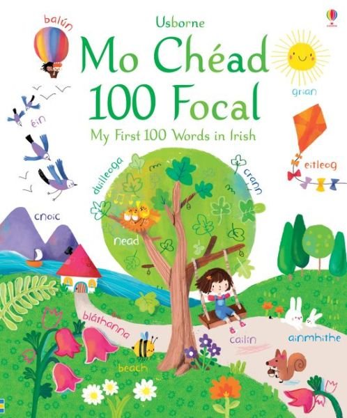 Cover for Felicity Brooks · My First 100 Words in Irish - Big Picture Books (Board book) (2018)
