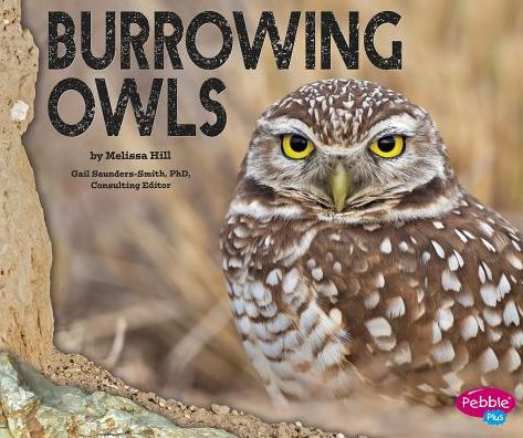 Cover for Melissa Hill · Burrowing Owls (Hardcover Book) (2015)