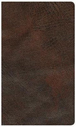 Cover for C. S. B. Bibles CSB Bibles by Holman · CSB Reader's Bible, Brown Genuine Leather (Book) (2019)