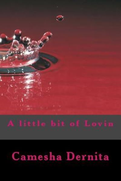 Cover for Camesha Dernita · A little bit of Lovin' (Pocketbok) (2017)