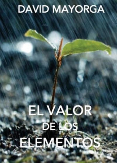 Cover for David Mayorga · El Valor de Los Elementos (Paperback Book) (2021)