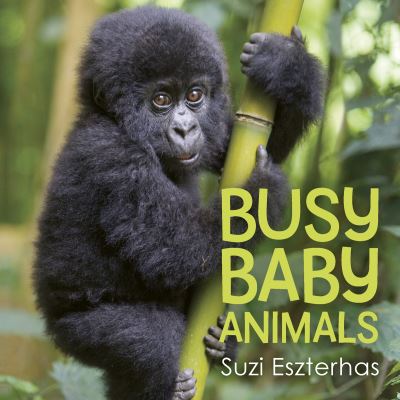 Busy Baby Animals - Suzi Eszterhas - Bøker - Owlkids Books Inc. - 9781771474467 - 2. august 2022