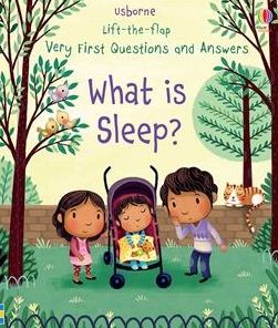 Very First Questions and Answers What Is Sleep? - Katie Daynes - Bøger - Usborne Publishing, Limited - 9781805070467 - 28. november 2023