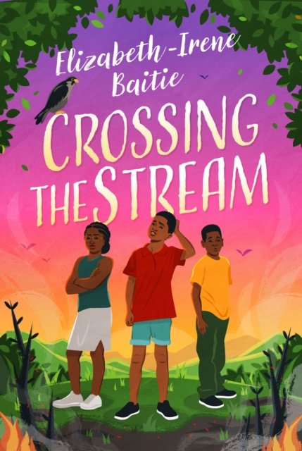 Cover for Elizabeth-Irene Baitie · Crossing the Stream (Paperback Bog) [International edition] (2023)