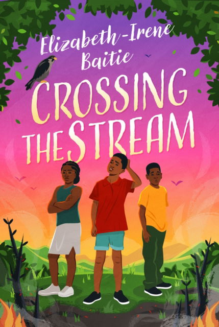 Cover for Elizabeth-Irene Baitie · Crossing the Stream (Paperback Book) [International edition] (2023)