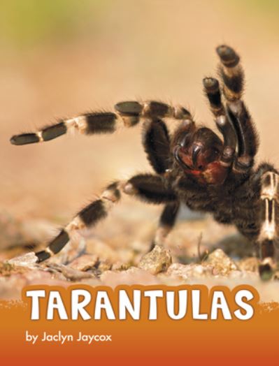 Cover for Jaclyn Jaycox · Tarantulas (Book) (2020)