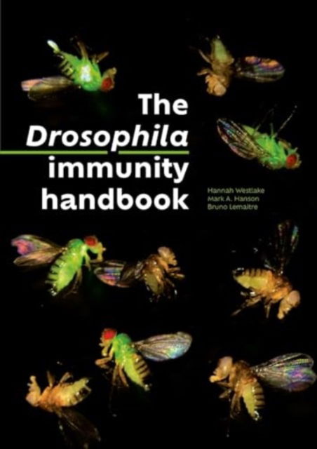 Cover for Hannah Westlake · Drosophila Immunity Handbook (Paperback Book) (2025)