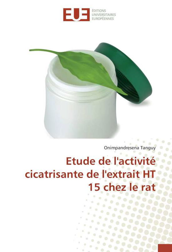 Cover for Tanguy · Etude de l'activité cicatrisante (Book)