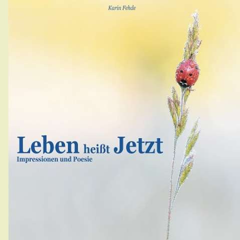 Cover for Fehde · Leben heißt Jetzt (Book)