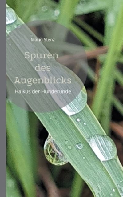 Cover for Mario Stenz · Spuren des Augenblicks (Paperback Book) (2021)