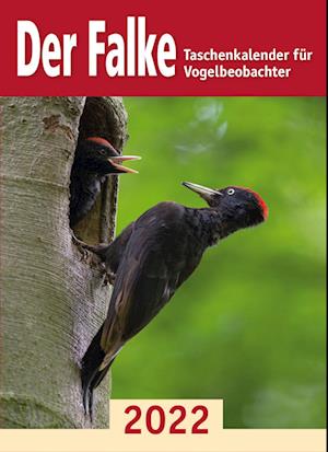 Cover for Redaktion Der Falke · Der Falke-Taschenkalender für Vogelbeobachter 2022 (Paperback Book) (2022)