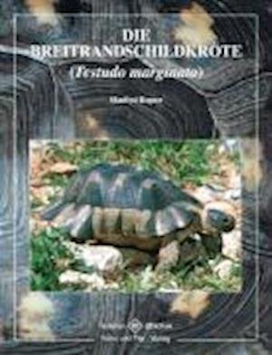 Cover for Manfred Rogner · Breitrandschildkröte (Pocketbok) (2007)