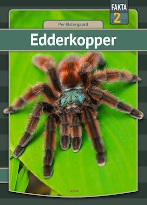 Cover for Per Østergaard · Fakta 2: Edderkopper (Hardcover bog) [1. udgave] (2022)