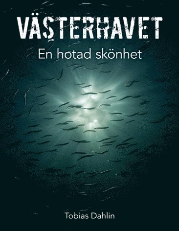 Cover for Tobias Dahlin · Västerhavet : en hotad skönhet (Hardcover Book) [Ned edition] (2014)