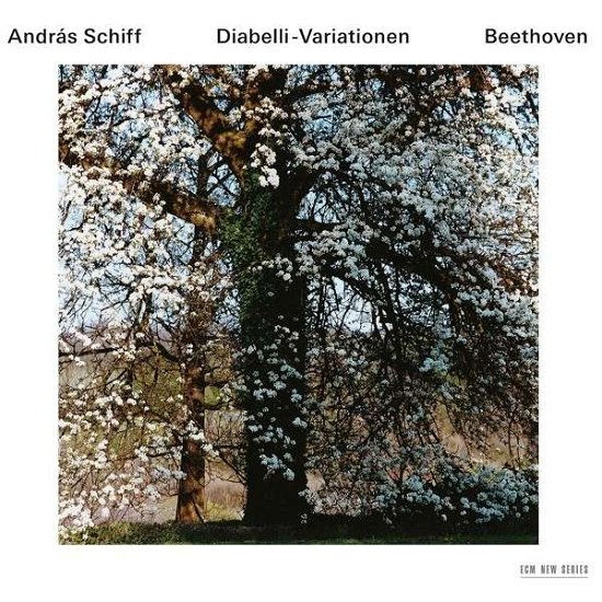 Cover for Andras Schiff · Beethoven / Diabelli-Variationen (CD) (2013)