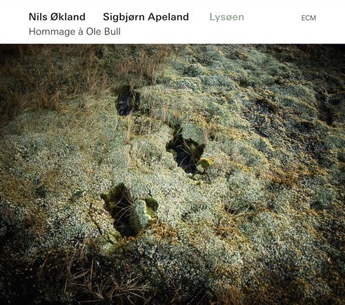 Hammage À Ole Bull - Økland Nils / Figbjørn Apeland Lysøen - Musikk - SUN - 0602527402468 - 13. april 2011