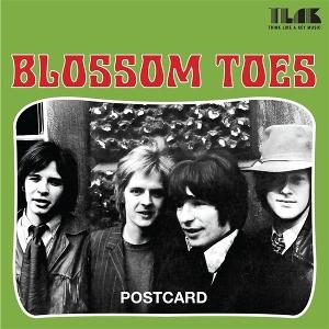 Cover for Blossom Toes · Postcard (7&quot;) (2024)