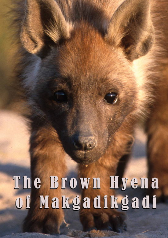 Cover for Feature Film · The Brown Hyena of Makgadikgadi (DVD) (2024)