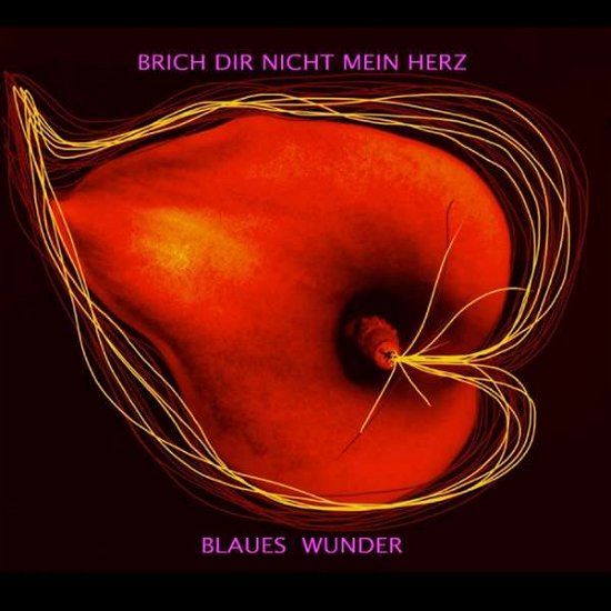 Blaues Wunder · Brich Dir Nicht Mein Herz (CD) (2020)