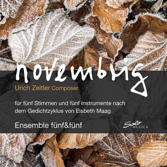 Ulrich Zeitler: Novembrig - Ensemble Funf & Funf - Music - SOLO MUSICA - 4260123644468 - January 5, 2024