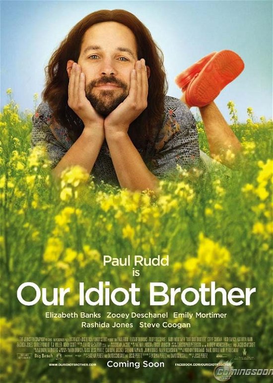 Cover for Jesse Peretz · Our Idiot Brother (DVD) (2013)