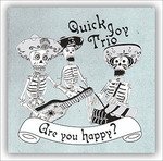 Cover for Quick Joy Trio · Are You Happy? (CD)