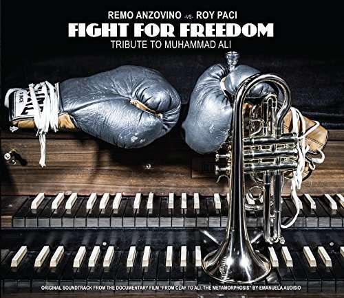 Cover for Remo Anzovino · Fight For Freedom (LP) (2017)