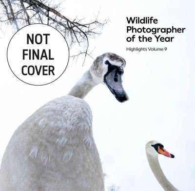 Wildlife Photographer of the Year: Highlights Volume 9 - Natural History Museum - Boeken - The Natural History Museum - 9780565095468 - 28 december 2023
