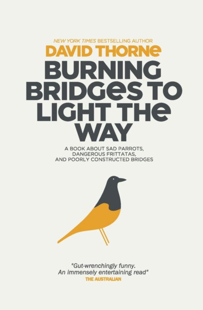 Cover for David Thorne · Burning Bridges to Light the Way (Paperback Book) (2019)