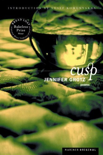 Cover for Jennifer Grotz · Cusp: Poems (Paperback Book) [First edition] (2003)