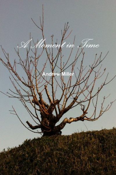 Cover for Andrew Miller · A Moment in Time (Pocketbok) (2013)