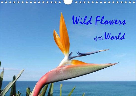 Cover for Beck · Wild Flowers of the World (Wall Ca (Bok)