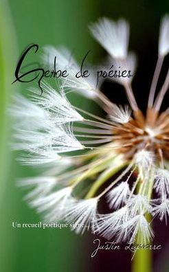 Cover for Justin Lapierre · Gerbe de poesies (Paperback Book) (2016)