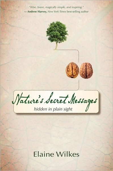 Natures Secret Messages: Hidden in Plain Sight - Elaine Wilkes - Books - Hay House - 9781401925468 - February 15, 2010