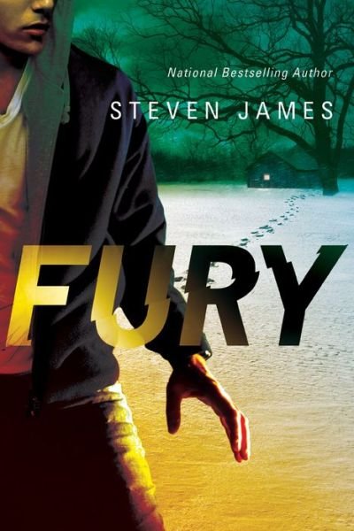 Cover for Steven James · Fury - Blur Trilogy (Paperback Bog) (2015)