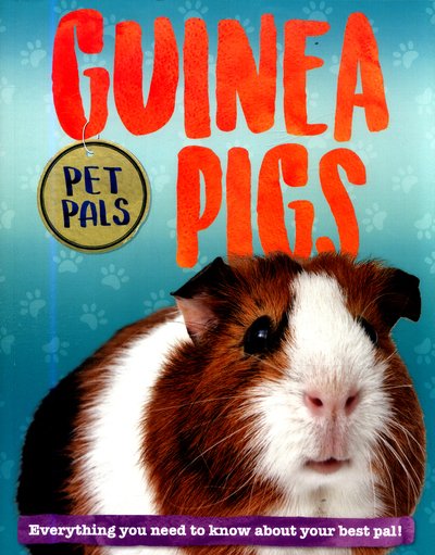 Cover for Pat Jacobs · Pet Pals: Guinea Pig - Pet Pals (Paperback Book) (2018)