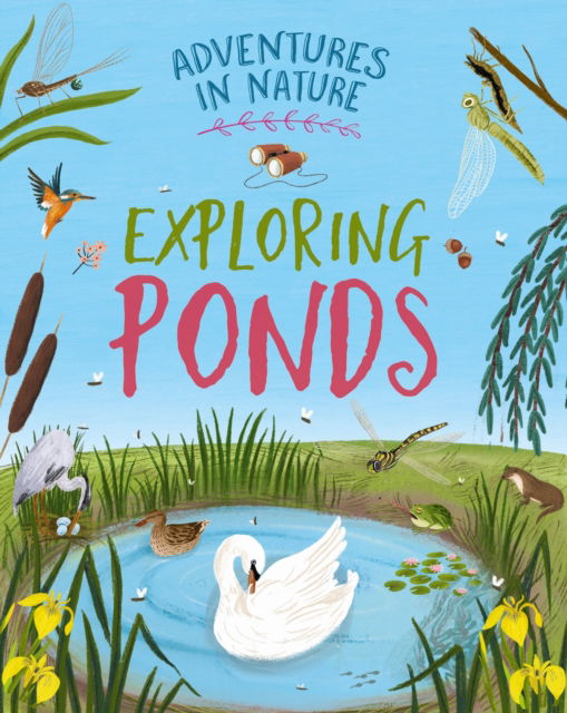 Cover for Jen Green · Adventures in Nature: Exploring Ponds - Adventures in Nature (Paperback Book) (2025)