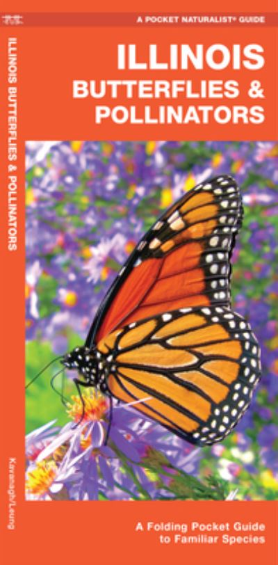 Cover for James Kavanagh · Illinois Butterflies &amp; Pollinators (Pamphlet) (2020)