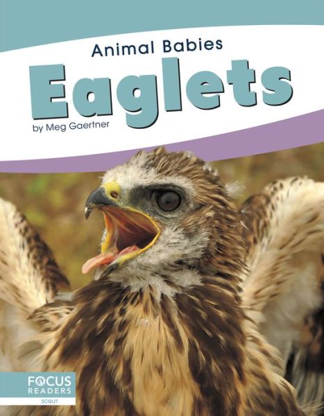 Cover for Meg Gaertner · Eaglets - Animal Babies (Hardcover Book) (2019)