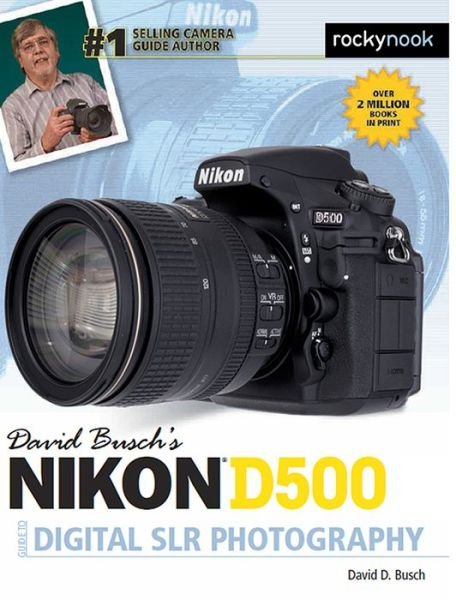 Cover for David D. Busch · David Busch's Nikon D500 Guide to Digital SLR Photography (Paperback Book) (2016)