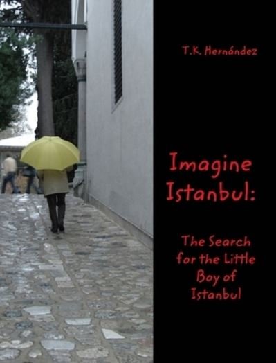 Cover for T K Hernandez · Imagine Istanbul (Hardcover bog) (2020)
