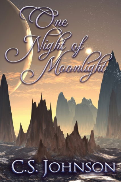 Cover for C S Johnson · One Night of Moonlight - The Moonlight Pegasus (Paperback Book) [2nd edition] (2020)