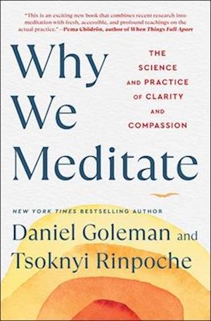 Cover for Daniel Goleman · Why We Meditate: The Science and Practice of Clarity and Compassion (Paperback Book) (2024)