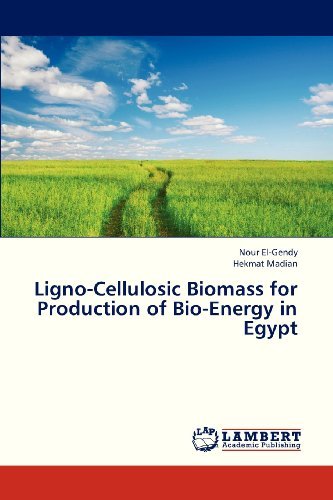 Cover for Hekmat Madian · Ligno-cellulosic Biomass for Production of Bio-energy in Egypt (Paperback Bog) (2013)